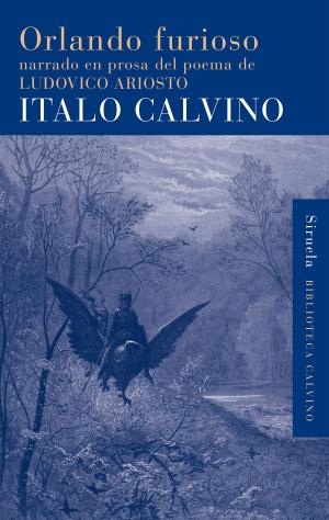Cover of the book Orlando furioso by Gustave Flaubert, Mario Vargas Llosa, Mauro Armiño