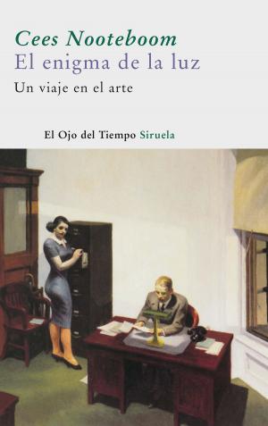 Book cover of El enigma de la luz