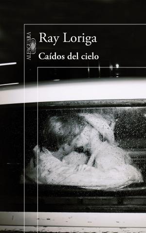 Cover of the book Caídos del cielo by Lucía Etxebarria