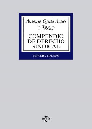 Cover of the book Compendio de Derecho sindical by Francisco Alemán Páez, Mª José Rodríguez Crespo