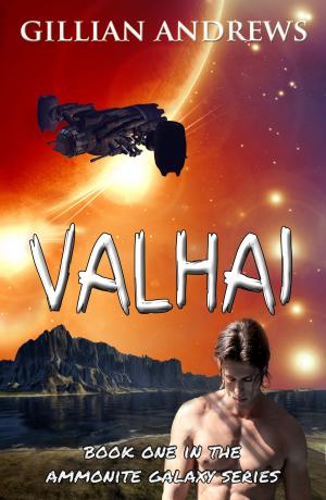 Cover of the book Valhai by John Newport