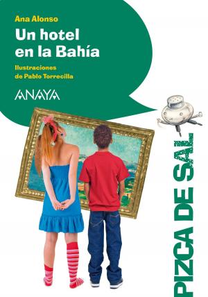 Cover of the book Un hotel en la bahía by Concha López Narváez