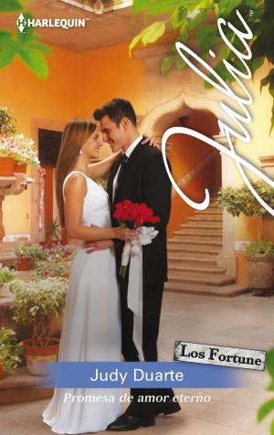 Book cover of Promesa de amor eterno