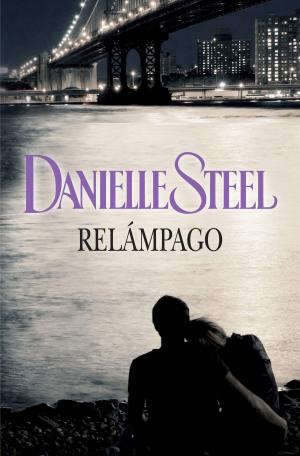 Cover of the book Relámpago by Walter Benjamin