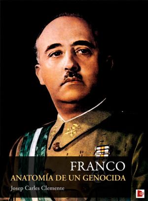 Cover of the book Franco by Enrique Galán