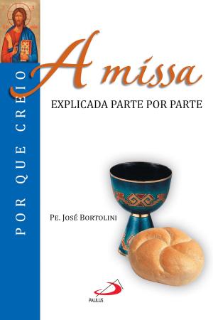 Cover of the book A missa by Santo Agostinho