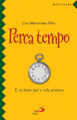 Cover of the book Perca tempo by Celso Antunes