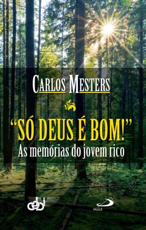 Cover of the book Só Deus é bom! by Martin Padovani