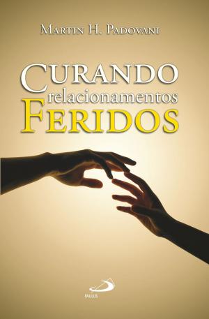 Cover of the book Curando relacionamentos feridos by Eduardo Hoornaert