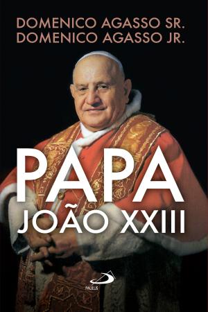 Cover of the book Papa João XXIII by Antônio Sagrado Bogaz, João Henrique Hansen