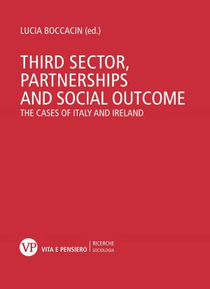 Cover of the book Third sector, partnerships and social outcome. The cases of Italy and Ireland by Fausto Colombo