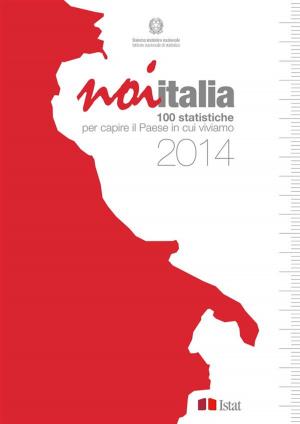 Book cover of Noi Italia 2014