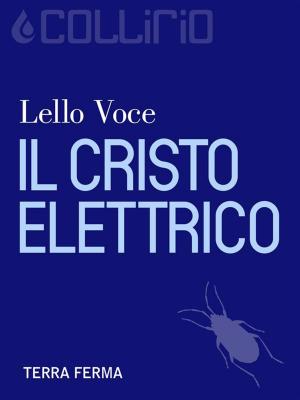 Cover of the book Il Cristo elettrico by Lorenzo Pezzato