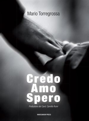 Cover of the book Credo, Amo, Spero by Benedetto XVI, Joseph Ratzinger, Riccardo Muti
