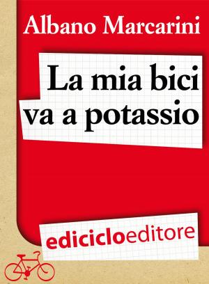 Book cover of La mia bici va a potassio. Milano-Roma a due banane all'ora