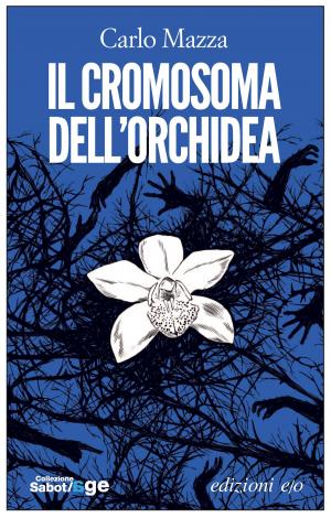 Book cover of Il cromosoma dell'orchidea