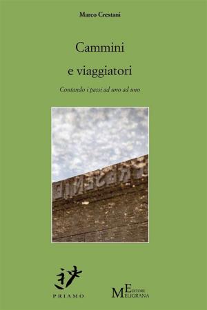 Cover of the book Cammini e viaggiatori by Antonella De Luca