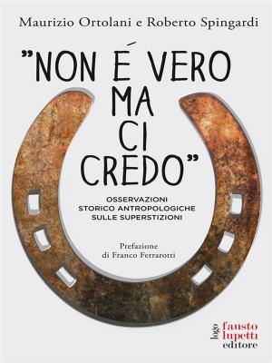 Cover of the book Non è vero ma ci credo by Mario Morcellini, Tullio De Mauro, Franco Ferrarotti, Gianfranco Bettetini, Luciano Gallino, Paolo Fabbri, Mauro Calise, AA. VV.