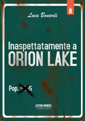 Cover of Inaspettatamente a Orion Lake
