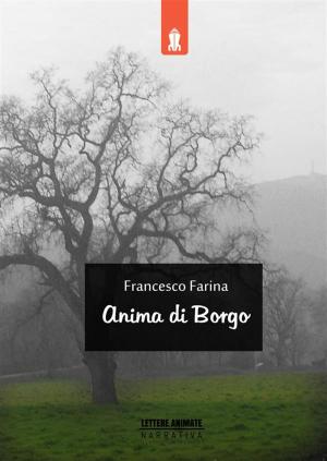 Cover of the book Anima di Borgo by Alessio Gradogna