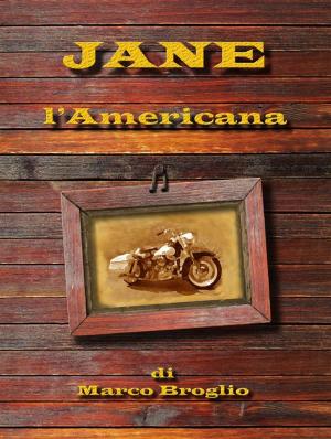 Cover of the book Jane l'americana by Päivi Kannisto, Santeri Kannisto