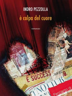 Cover of the book È colpa del cuore by Ainy Rainwater