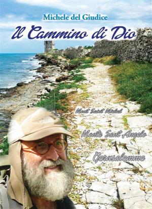 Cover of the book Il cammino di dio by Max Solinas