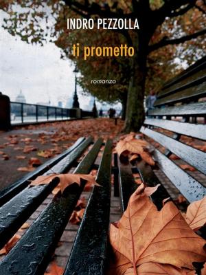 Book cover of Ti prometto