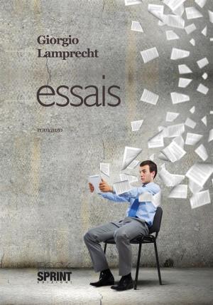 Cover of the book Essais by Paolo dii Nerma