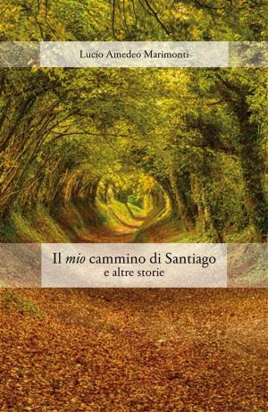 Cover of the book Il mio cammino di santiago e altre storie by Fabio Novel