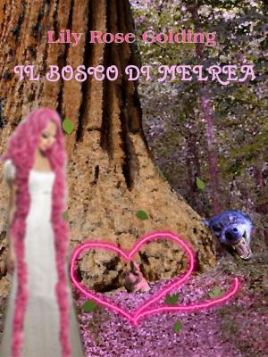Book cover of Il bosco di melrea