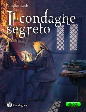 Cover of the book Il condaghe segreto by Tonino Oppes