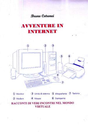 Book cover of Avventure in Internet