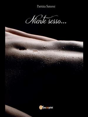 Cover of the book Niente sesso… by Daniele Zumbo