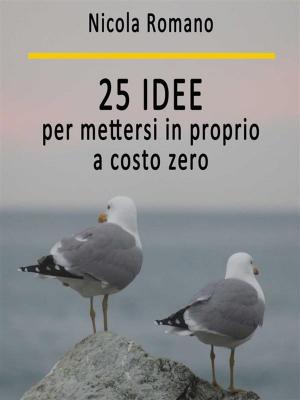 Cover of the book 25 idee per mettersi in proprio a costo zero by Gemma De Felice