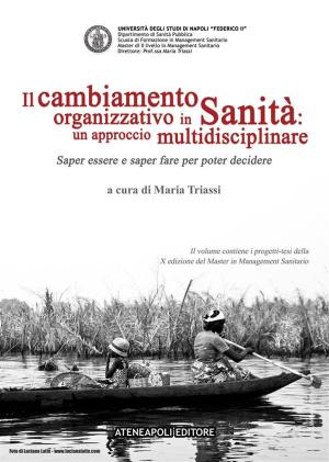 Cover of Il cambiamento organizzativo in Sanità: un approccio multidisciplinare