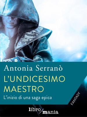 Cover of the book L'undicesimo maestro by Virginia Scarfili