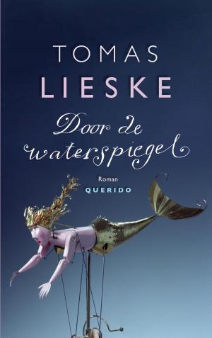 Book cover of Door de waterspiegel