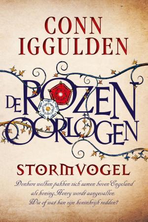 Book cover of Stormvogel