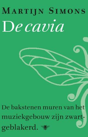 Cover of the book De cavia by Koen Peeters