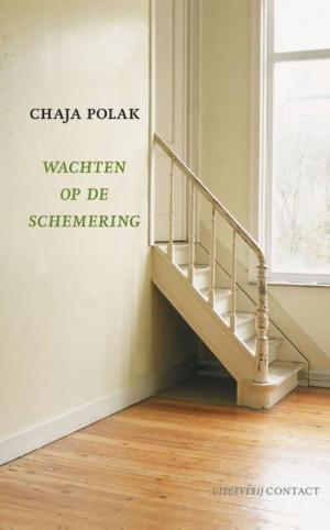 Cover of the book Wachten op de schemering by Diet Groothuis