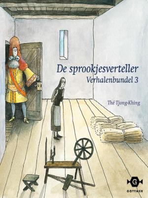 Cover of the book De sprookjesverteller by John Flanagan