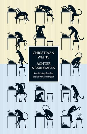 Cover of the book Achternamiddagen by Esther Gerritsen