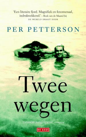 Book cover of Twee wegen