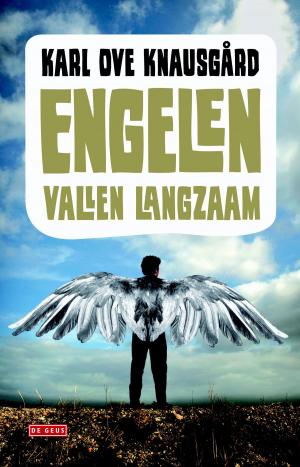 Cover of the book Engelen vallen langzaam by Bart Moeyaert