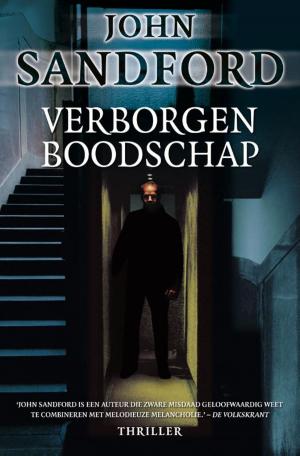 Cover of the book Verborgen boodschap by Havank