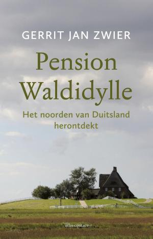 Cover of the book Pension Waldidylle by Gerrit Jan Zwier