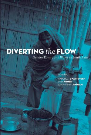 Cover of the book Diverting the Flow by Annie Zaidi, Smriti Ravindra