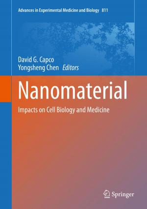Cover of the book Nanomaterial by David Smith