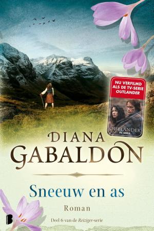 Cover of the book Sneeuw en as by Victoria Hislop